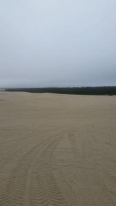 oregon sand